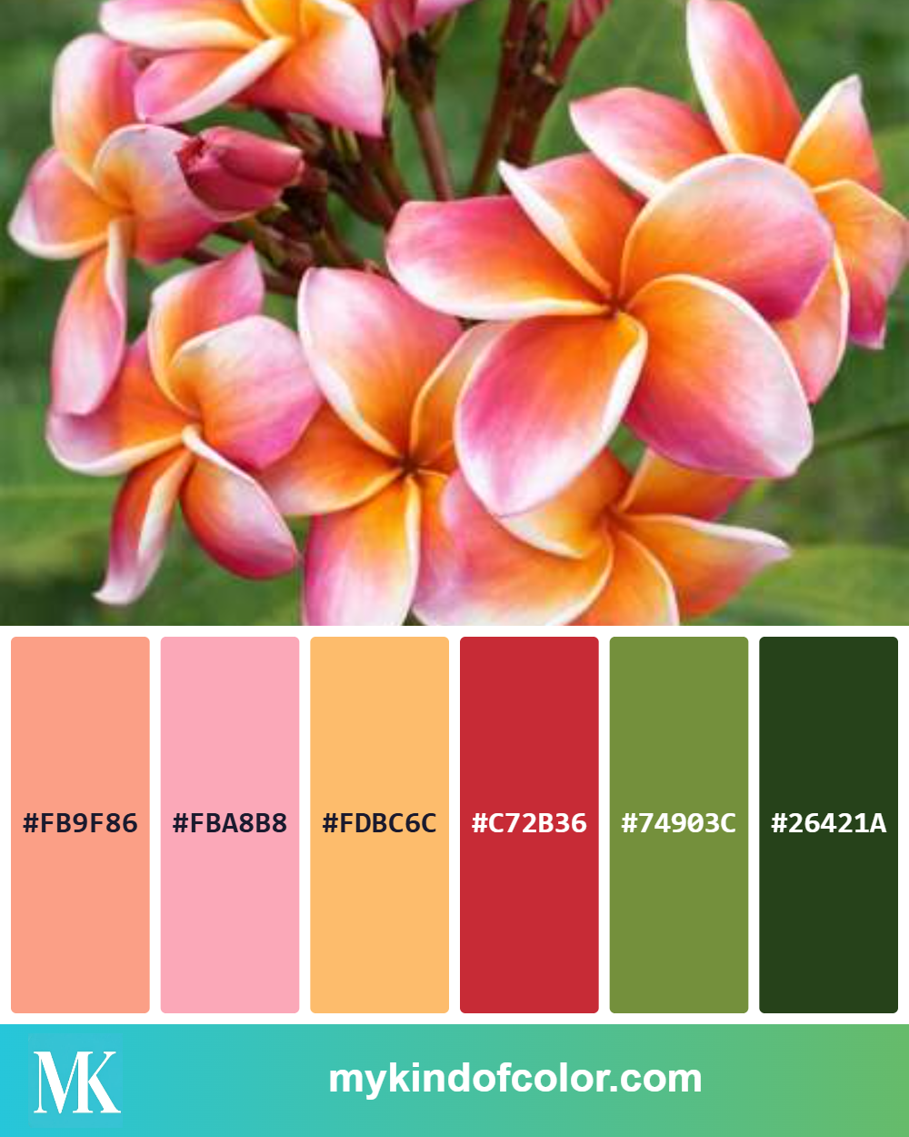 Tropical Plumeria Palette
