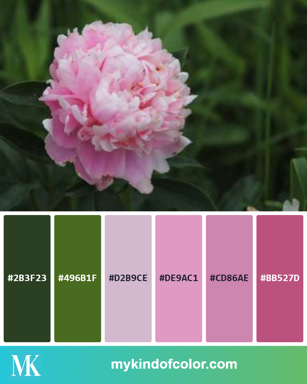 Lush Pink Peony Palette