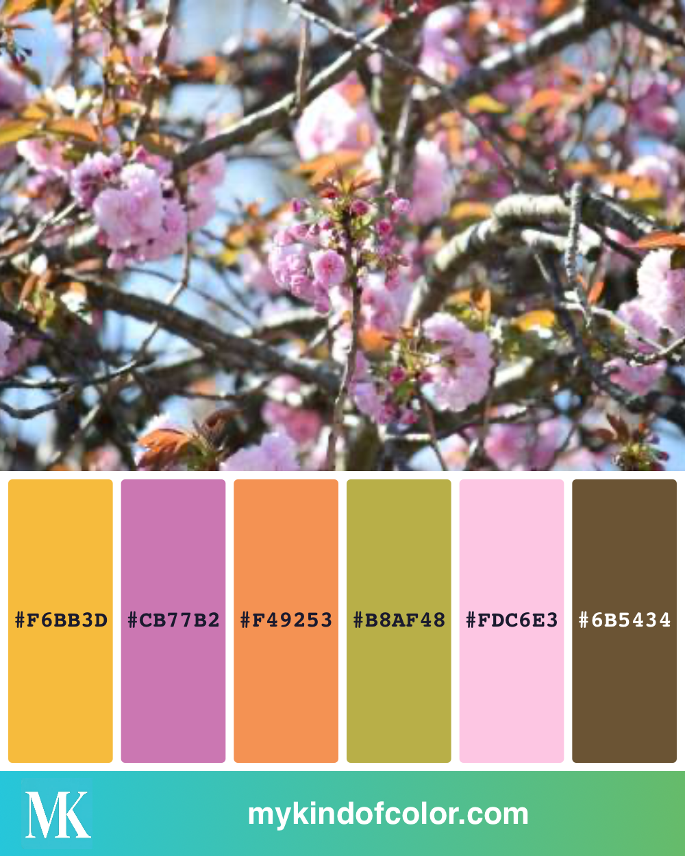 Cherry Blossom tree Palette