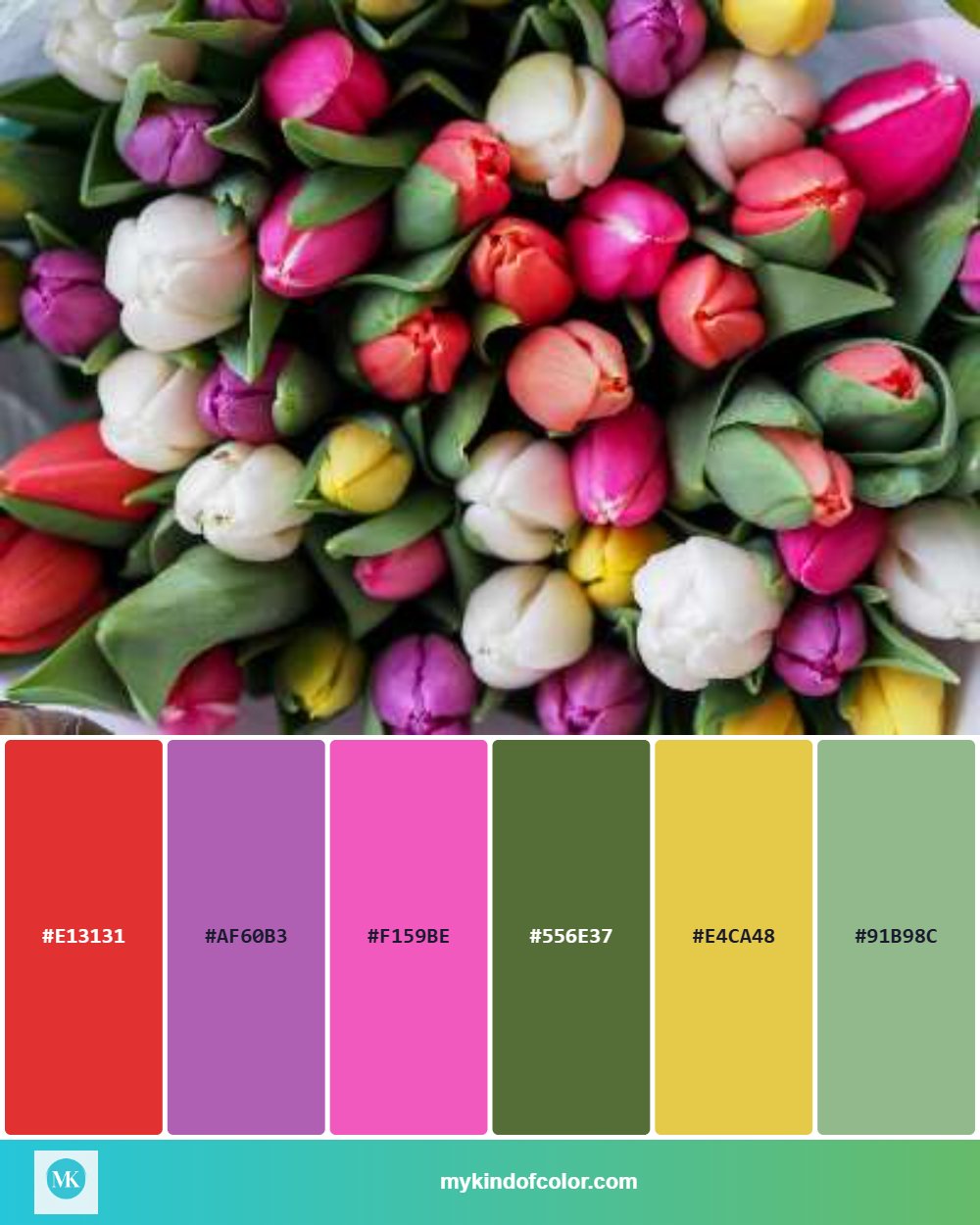 MyKindofColor palette extraction showing the tulip photo with 6 extracted color swatches — red, purple, pink, olive green, gold, and sage — with hex codes displayed on each swatch.